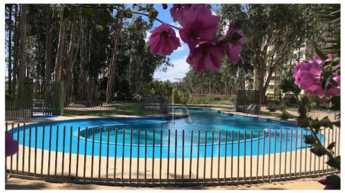 Piscina, VR | Algarrobo Mirasol/parking/10min playa/piscina in Algarrobo