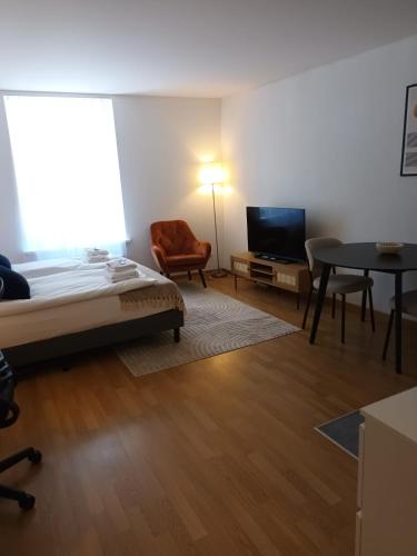 Studio at famous Storchengasse - Stork 44