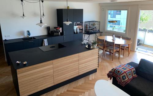 M udendørs pool sauna p kælder og stor altan, Kopenhaga (zdjęcie 8)