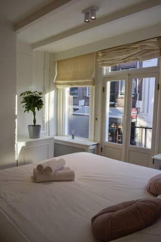 NEW cosy apartment in 9 streets, Amsterdam (photo 8)
