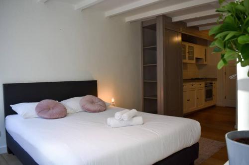 NEW cosy apartment in 9 streets, Amsterdam (photo 9)