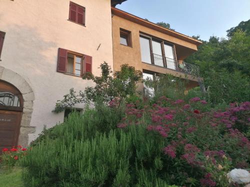 Firmelein, Appiano sulla Strada del Vino (foto 6)