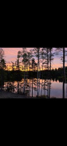 Wolf Pond 2 ONLY 3 Miles to Lake Placid in Whiteface