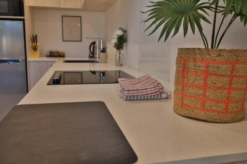 Cosy Studio in Awaroa Road in هندرسون