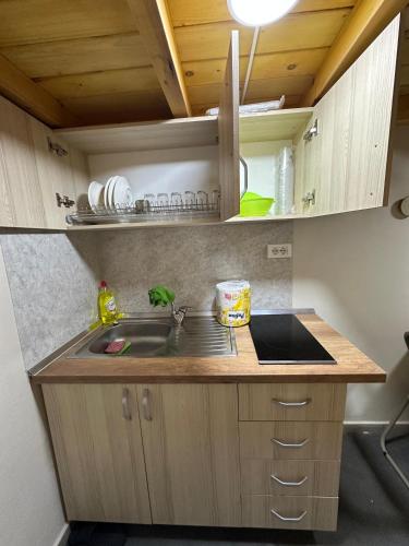 One-Bedroom Apartment image 7