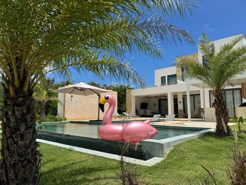 Golf 218 Nueva Romana Beach in La Caña