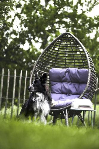 Haus Grün - image 3