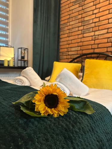 Apartament W Starym Obiektywie