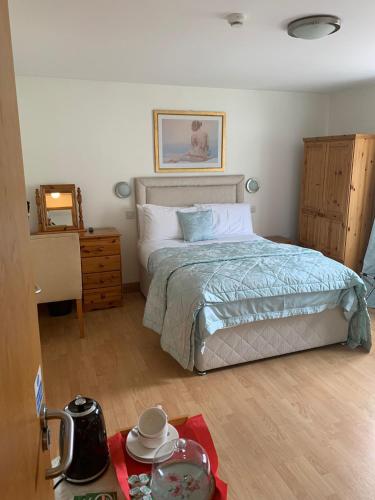 Double room, deluxe, shower
