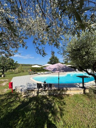 Locanda del picchio in Morro d'Oro