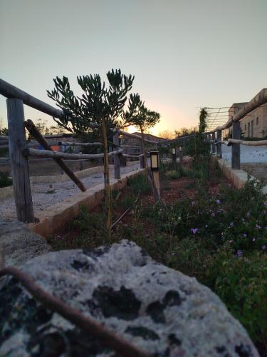 Tenuta Serre, Salve (foto 6)