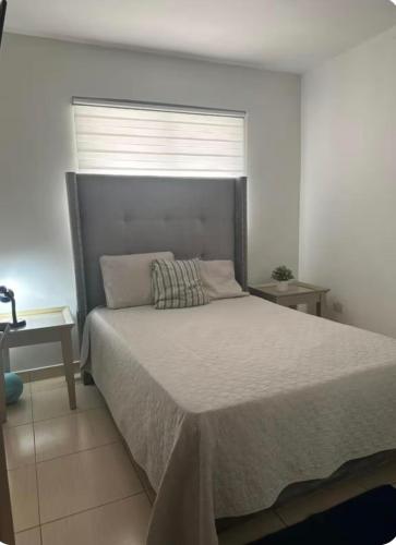 Acogedor apartamento en la Jacobo majcluta in Villa Mella