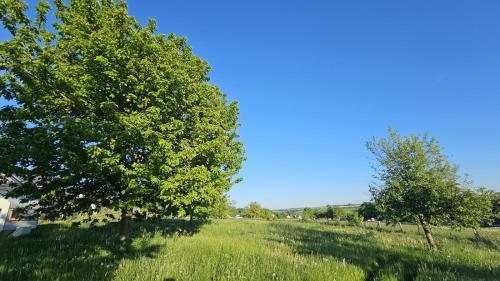 Ruhiges Ferienzimmer mit eigenem Bad am Waldrand in Urbach (Rhineland-Palatinate)