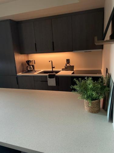 Nybygd og sentral leilighet in Leknes