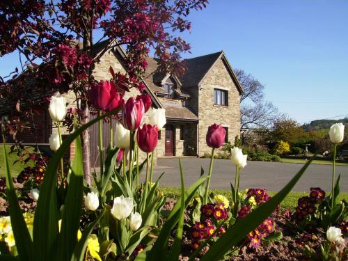 Highfield, , Herefordshire