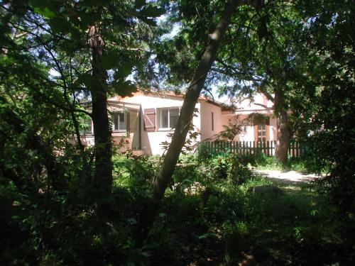 les Oiseaux gîte à louer Puig del Mas