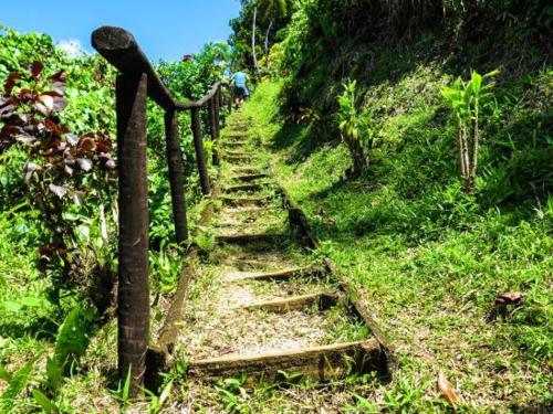 Grace Homestay in Metei