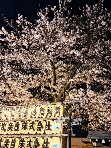 ホテル アマネク 浅草桜橋
