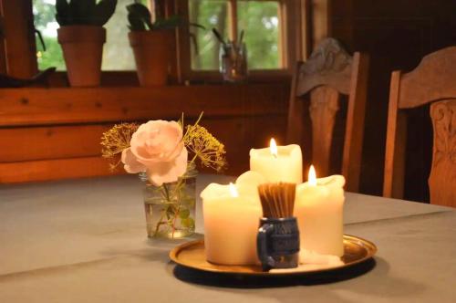 ทัศนียภาพภายนอกโรงแรม, Unique Log Cabin In Quiet Forest in บรังเดอ