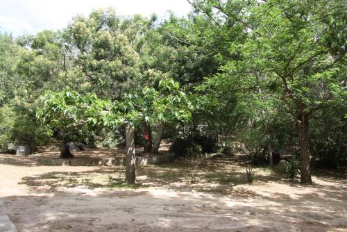 CAMPING LES ILOTS D'OR - image 12
