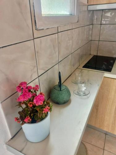 Petalides Studios in Agios Nikolaos