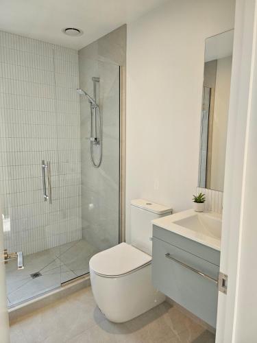 دش, Courtenay Street Abode in Mairehau