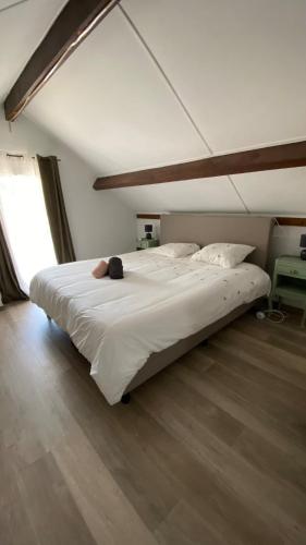 Villa, Hourtin (photo 4)