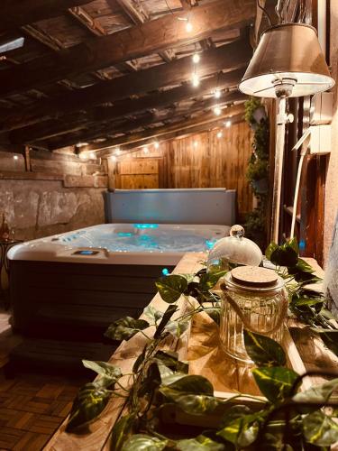 Spa, A l'Orée des Sapins Gîte 2 pers acces SPA in Aubure