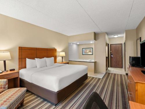 Comfort Inn Metro Airport Romulus - image 6
