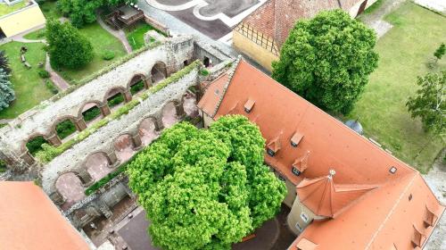 Stiftung Kloster und Kaiserpfalz Memleben in Kaiserpfalz
