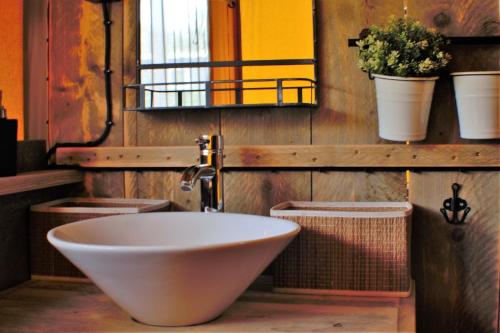 Chalet & Glamping Ons plekje in het bos in บอสเคบีด เบคเบอร์เคนใต้