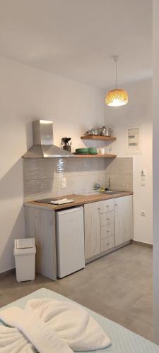 Evilion Donoussa Studios in Donoussa