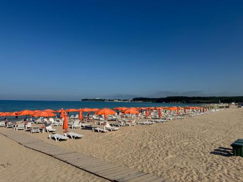 Allure by the Sea, Primorsko (fotografie 6)