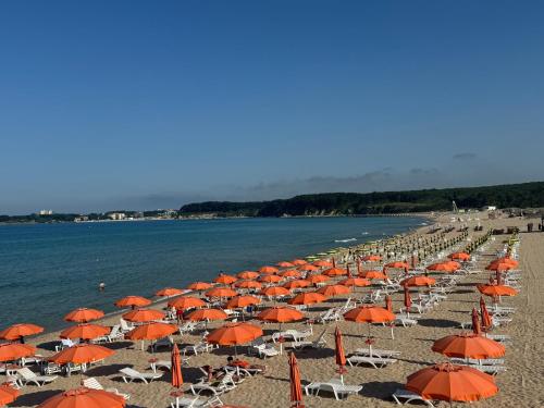 Allure by the Sea, Primorsko (fotografie 9)