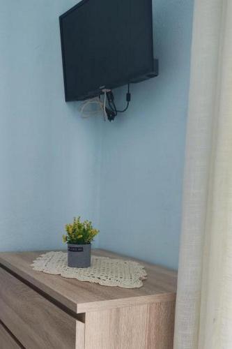 Studio Pasman 8219a - image 12