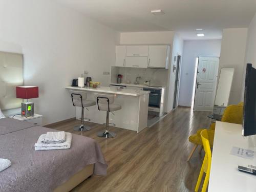 Modern Ground Floor Studio 3