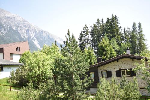 Damiez 476 Hi in Lenzerheide