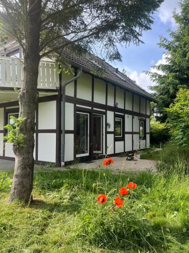 Haus Waldzeit, inclusief bedlinnen handdoeken en eindservice in Frankenau, Deutschland