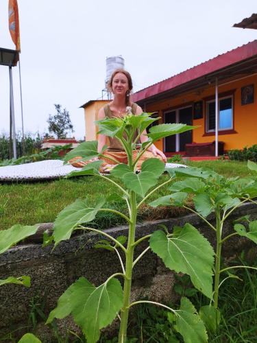 Anandam Yoga and Mediation House in Lakhnath