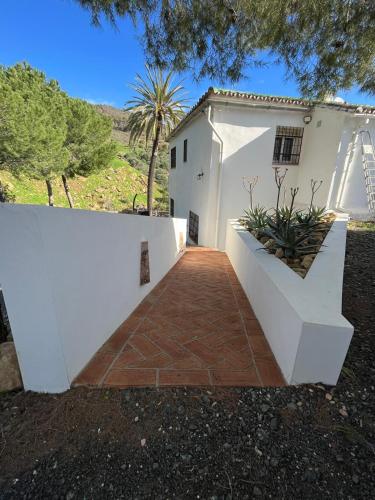 El bufon de la corte, Malaga