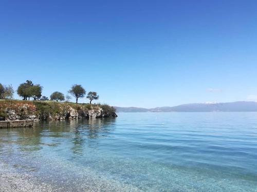 A környék, medusa gradiste in Trpejca