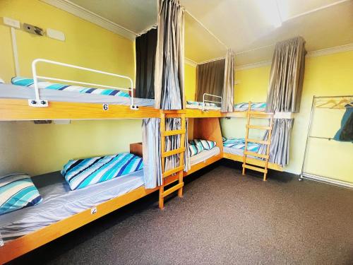 Bluewater Lodge in Napier