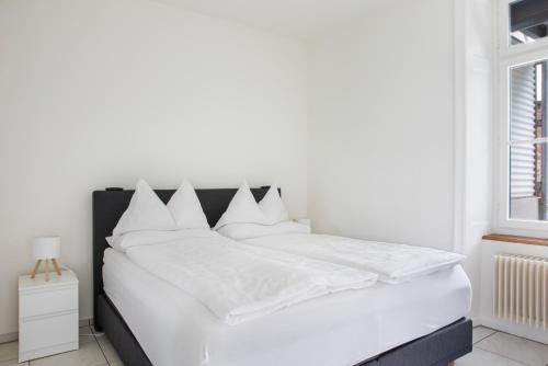Hotel Resslirytti, Basilea (foto 7)