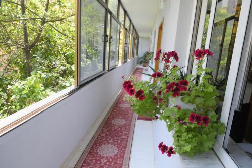 Hotel HAXHIU in Tirana