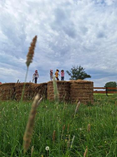 Dārzs, Zagroda Zabłocie Domek Między Drzewami (Zagroda Zablocie Domek Miedzy Drzewami) in Krzyczki Szumne
