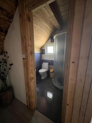 Casa Bujanovski in ซูเซวิตา