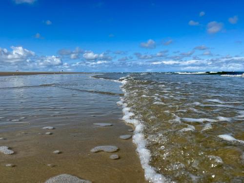 Möwchen, Langeoog (foto 6)