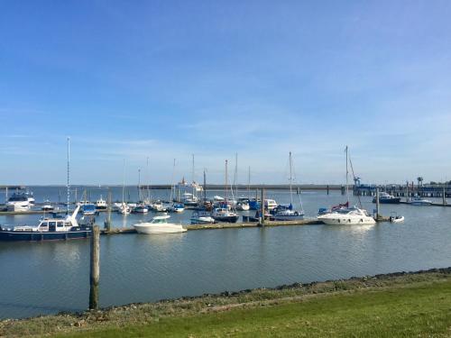 Möwchen, Langeoog (foto 9)