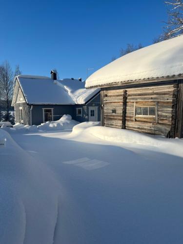 Koli Freetime Cottages - image 12
