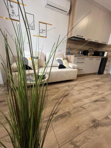 Apartament Sukces